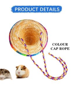 1 PCS Bearded Dragon Hat Funny Pet Straw Hat Mini Straw Hat with Accessories for Reptile HamsterLeopard Gecko