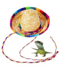 1 PCS Bearded Dragon Hat Funny Pet Straw Hat Mini Straw Hat with Accessories for Reptile HamsterLeopard Gecko