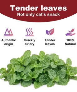 100% Natural Catnip and Pure Catnip for Your Furry Friend Taste Funny Cat Toy New Cat Toy Interactive Cat Toys Pet Supplies