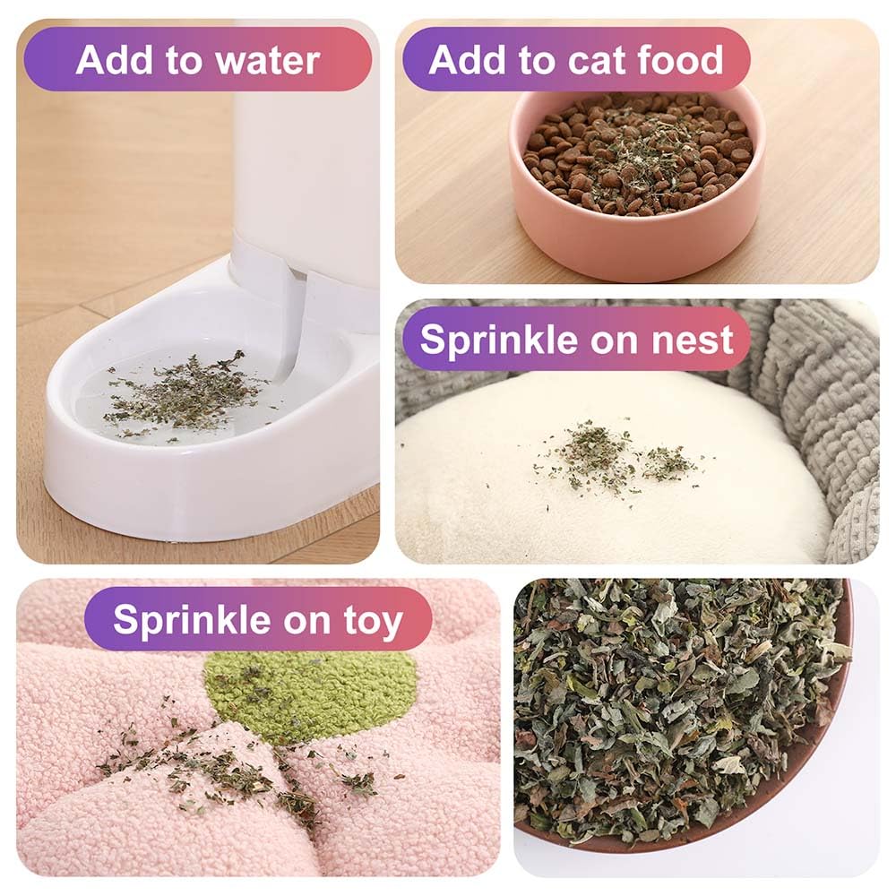 100% Natural Catnip and Pure Catnip for Your Furry Friend Taste Funny Cat Toy New Cat Toy Interactive Cat Toys Pet Supplies