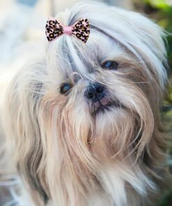 100PCS Cute Puppy Dog Small Bowknot Hair Bows,Yorkie Doggie Bows with Rubber Band Pet Grooming Bows Dog Hair Costume Accessories for Small Dog