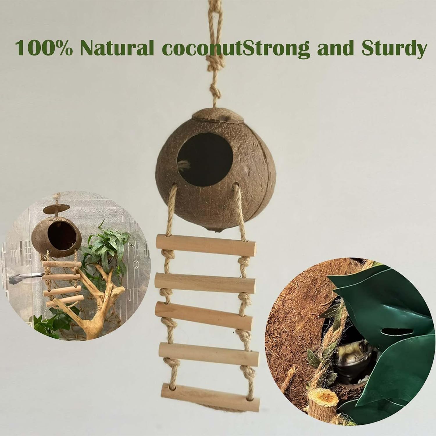 10PCS Crested Gecko Tank Accessories, Reptile Plants Bridge Vines, Coconut Shell with Ladder for Lizard, Chameleon Cage, Snakes, Hermit Crab, Leopard Gecko Tank Accessories,...