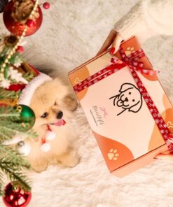 14Pcs New Puppy Gift Basket, Welcome Puppy Starter Kit, Dog Toy Gift Basket for Small Puppies, Interactive Dog Toys Bundle Dog Essentials for Birthday Christmas