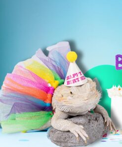 15Pcs Bearded Dragon Hats & Lizard Adjustable Tutu Skirt Bearded Dragon Birthday Party Outfits for Reptile Lizard Gecko Small Pet Animals