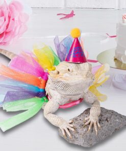 15Pcs Bearded Dragon Hats & Lizard Adjustable Tutu Skirt Bearded Dragon Birthday Party Outfits for Reptile Lizard Gecko Small Pet Animals