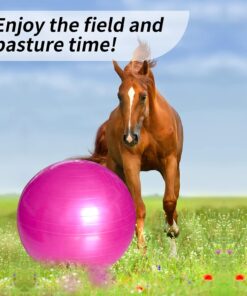 17 Inch Horse Play Balls Anti-Burst Herding Ball for Horse Mega Equine Ball for Play Training Horses Soccer Balls