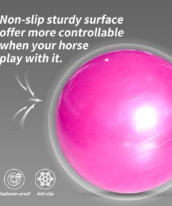 17 Inch Horse Play Balls Anti-Burst Herding Ball for Horse Mega Equine Ball for Play Training Horses Soccer Balls
