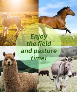 17 Inch Horse Play Balls Anti-Burst Herding Ball for Horse Mega Equine Ball for Play Training Horses Soccer Balls
