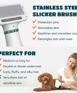 2-in-1 Dog Dryer with Slicker Brush for Small Dogs and Cats, Pet Hair Dryer, Dog Blow Dryer for Grooming with 300 Watts, 75-85 dB, Adjustable Temperature, Overheat Protection