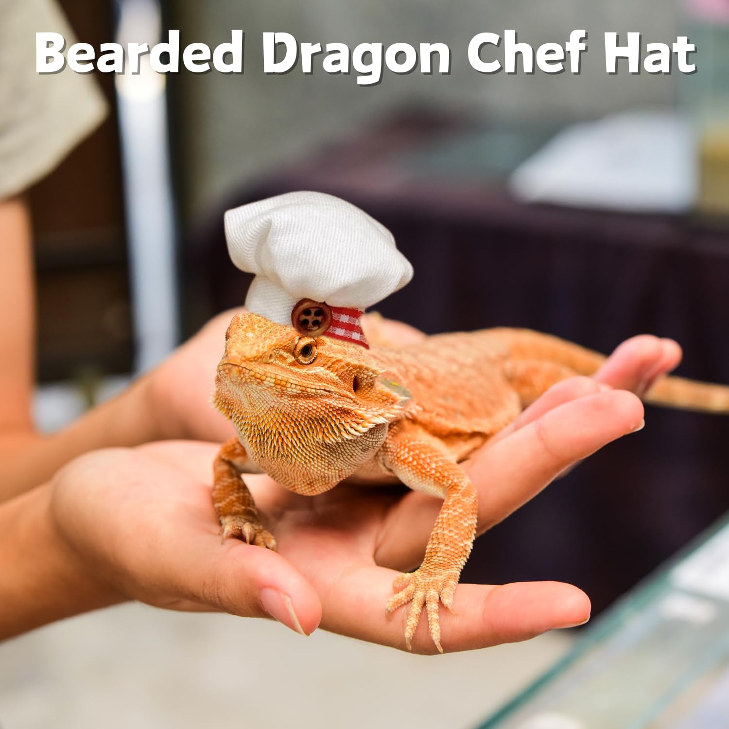 2 Pack Bearded Dragon Chef Hats - Small Animal Cotton Cooking Chef Cap with Adjustable Strap Halloween Costume Outfit Prop Clothes Accessories for Reptile Hamster Rat Leopard...