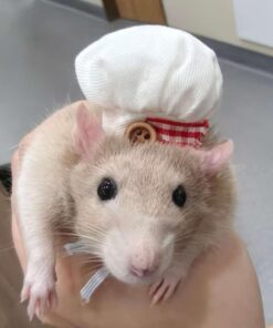 2 Pack Bearded Dragon Chef Hats - Small Animal Cotton Cooking Chef Cap with Adjustable Strap Halloween Costume Outfit Prop Clothes Accessories for Reptile Hamster Rat Leopard...