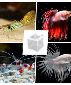 2 Pack Fish Incubator Mesh Box Aquarium, 6.3