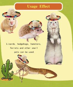2 Pcs Bearded Dragon Sombrero Hats with Chin Strap, Adjustable Lizard Straw Hat, Mexican Hamster Clothes Small Pet Costume Accessories for Reptile Hamster Leopard Gecko Ferret...