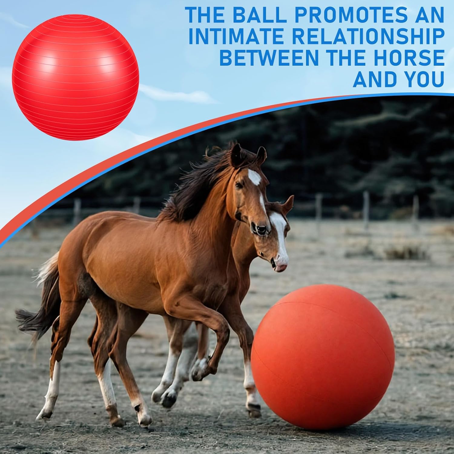 2 Set/4 Pcs Giant 40" Herding Ball with Cover Anti Burst, Large Horse Toy Waterproof Durable, Watch VCR for Inflating Horse Toys for Equine Pasture Stall Outdoor, Pump...