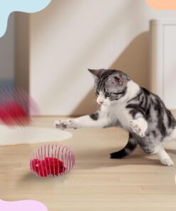 27Pcs Cat Toys Variety Pack for Indoor Cats, Interactive Spring Cage Mice & Small Mice, Plush Balls, Crinkle Balls, Colorful Springs, Cat Chew Chase Play Set for Boredom Relief...