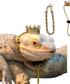 2Pcs Lizard Crown Necklace Set Metal Lizard Outfit Reptile Clothes Accessories Lizard Photo Props for Bearded Dragons Iguana Amphibians and Other Small Animals (Gold)