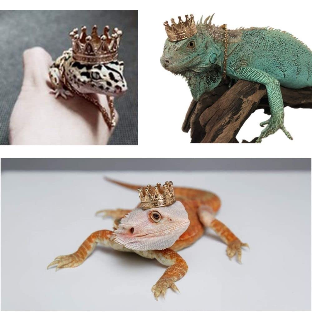 2Pcs Lizard Crown Necklace Set Metal Lizard Outfit Reptile Clothes Accessories Lizard Photo Props for Bearded Dragons Iguana Amphibians and Other Small Animals (Gold)