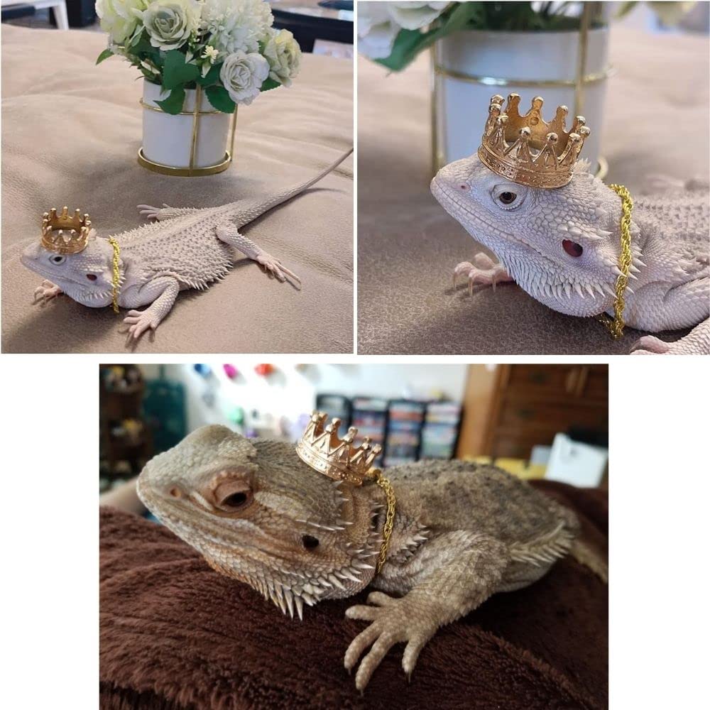 2Pcs Lizard Crown Necklace Set Metal Lizard Outfit Reptile Clothes Accessories Lizard Photo Props for Bearded Dragons Iguana Amphibians and Other Small Animals (Gold)