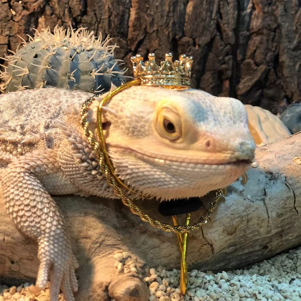 2Pcs Lizard Crown Necklace Set Metal Lizard Outfit Reptile Clothes Accessories Lizard Photo Props for Bearded Dragons Iguana Amphibians and Other Small Animals (Gold)