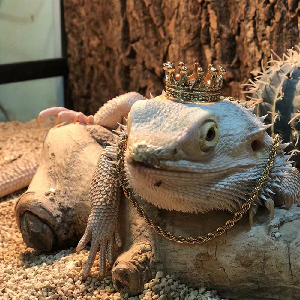 2Pcs Lizard Crown Necklace Set Metal Lizard Outfit Reptile Clothes Accessories Lizard Photo Props for Bearded Dragons Iguana Amphibians and Other Small Animals (Gold)