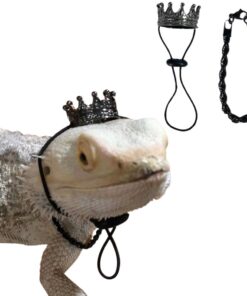 2Pcs Lizard Crown Necklace Set Metal Lizard Outfit Reptile Clothes Accessories Lizard Photo Props for Bearded Dragons Iguana Amphibians and Other Small Animals (Gold)