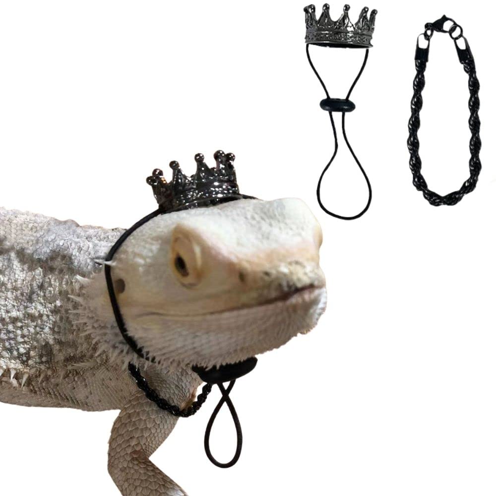2Pcs Lizard Crown Necklace Set Metal Lizard Outfit Reptile Clothes Accessories Lizard Photo Props for Bearded Dragons Iguana Amphibians and Other Small Animals (Gold)