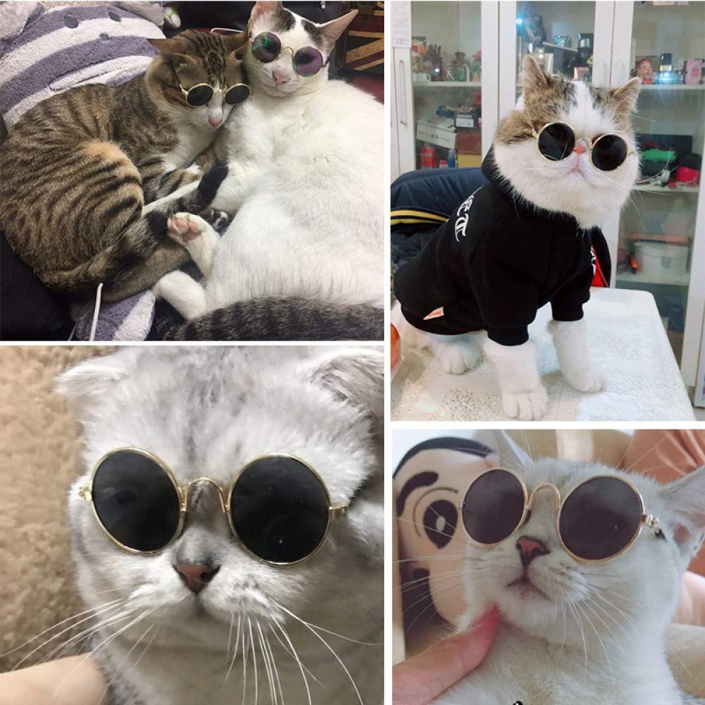 2pcs Random Color Small Cat Kitten Glasses Pet Glasses Dog Sunglasses Pet Supplies Kittens Pet Sunglasses 3 cm/1.1 Inch Cosplay Costume Photos Props