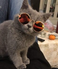 2pcs Random Color Small Cat Kitten Glasses Pet Glasses Dog Sunglasses Pet Supplies Kittens Pet Sunglasses 3 cm/1.1 Inch Cosplay Costume Photos Props