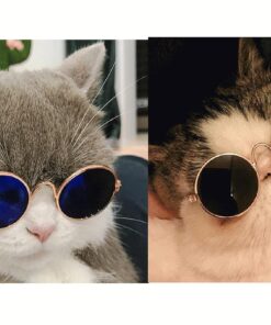 2pcs Random Color Small Cat Kitten Glasses Pet Glasses Dog Sunglasses Pet Supplies Kittens Pet Sunglasses 3 cm/1.1 Inch Cosplay Costume Photos Props