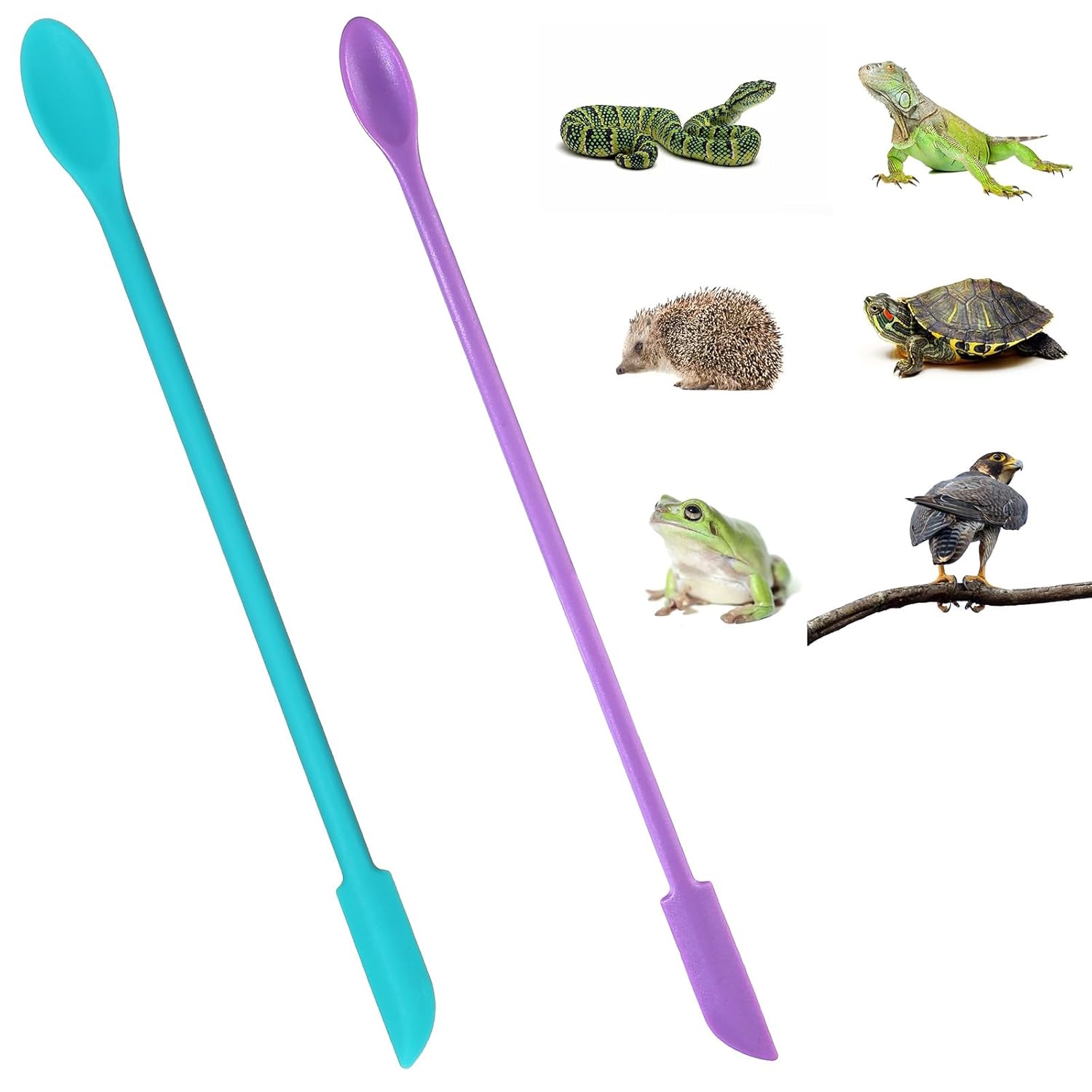 2Pcs Reptile Spoon, Crested Gecko Food Mixing Spoon Long Handle Feeding Tool Crested Gecko Accessories fit Lizard Gargoyle Bearded Dragon