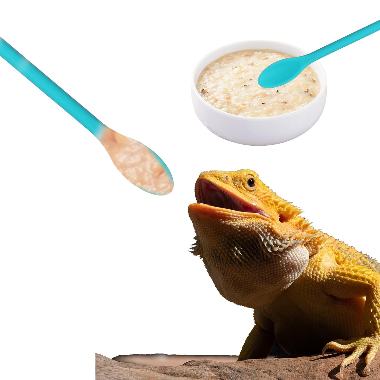 2Pcs Reptile Spoon, Crested Gecko Food Mixing Spoon Long Handle Feeding Tool Crested Gecko Accessories fit Lizard Gargoyle Bearded Dragon