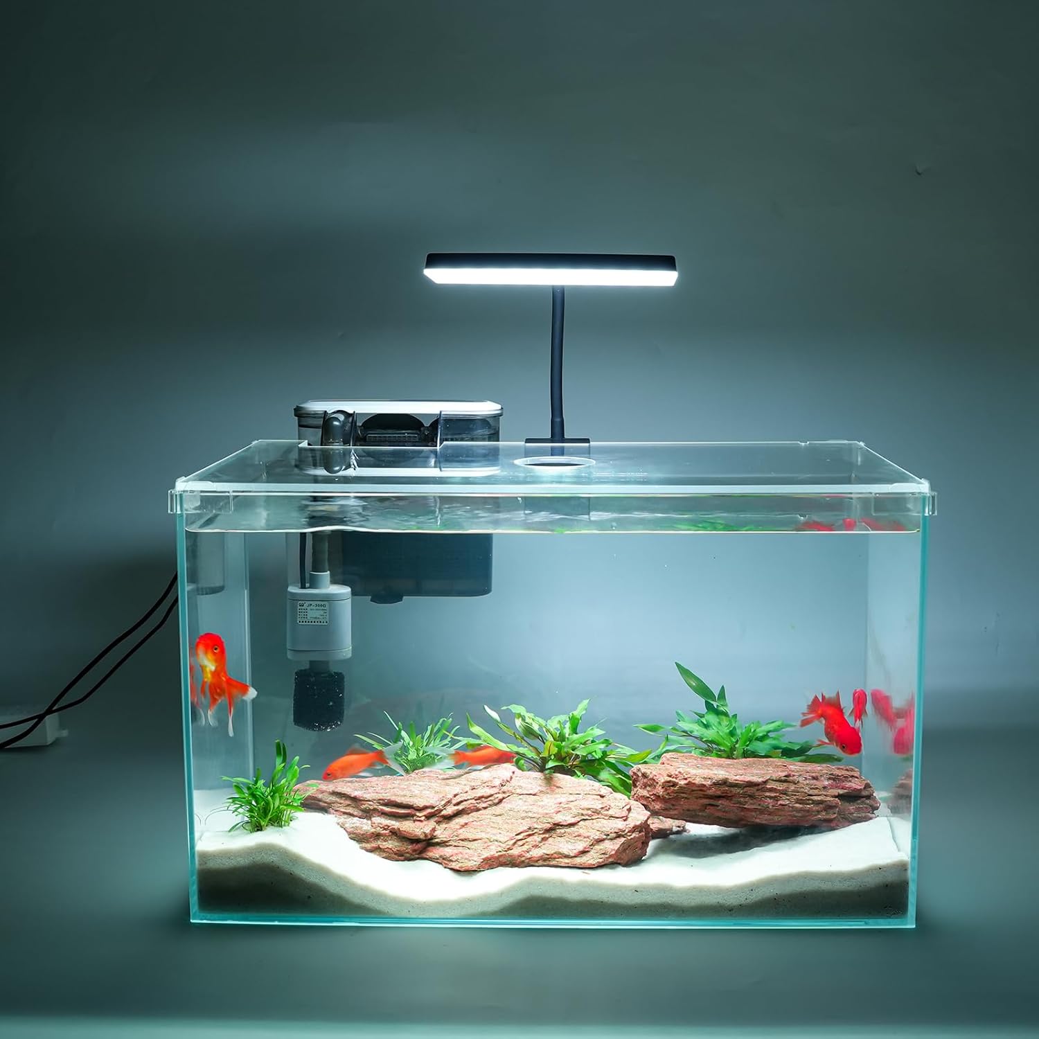 3 Gallon Glass Small Fish Tank, Betta Fish Tank Starter Kit with Filter, Lights,Lid.