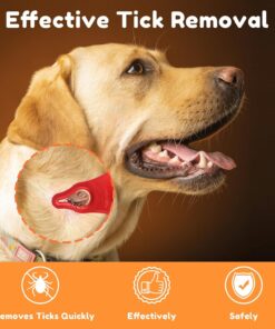 3 Pack Portable Tick Removal Tools, Tick Remover Tools for Dogs, Pets and Humans, Efficient, Safe and Reliable, Tick Key Essentials for Outdoor Activities