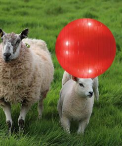 3 Pieces Pet Goat Ball Lamb Toy Horse Ball Dog Training Exercise Ball Toy with Inflator Pump for Pet Dogs Goats Horses to Play in Outdoor Entertainment (Red, Blue, Purple)