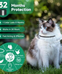 4 Pack Cat Flea Collars, Cat Flea and Tick Treatment, 32 Months Protection Flea and Tick Prevention for Cats, Waterproof Flea Collar for Cats, Black