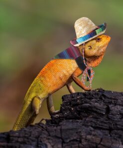 4 Pcs Mexican Bearded Dragon Sombrero Costume - Lizard Straw Hat with Adjustable Chin Strap Lizard Bandanas Small Pet Mexican Accessories for Reptile Hamster Leopard Gecko...