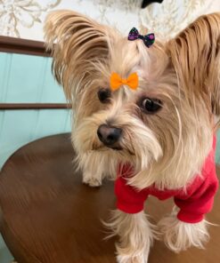 40PCS Dog Hair Bows with Clips 1.5Inch Girl Small Dog Apparel Accessories for Pet Puppy Cat Kitten Rabbit Hair Bows Clips