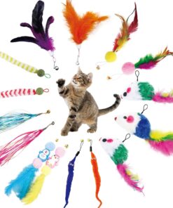 46 PCS Cat Toys for Indoor Cats, Kitten Toys with Cat Spring Toy, Mint Catnip with Crinkle Mouse Ball for Indoor Cats Kittens Exercise