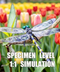 4PCS Dragonfly Clip, 3D Fake Dragonfly Clips to Keep B ugs Away,Artificial Dragon Fly for Deer and Horse,Fly Scare Devices for Indoor Outdoor