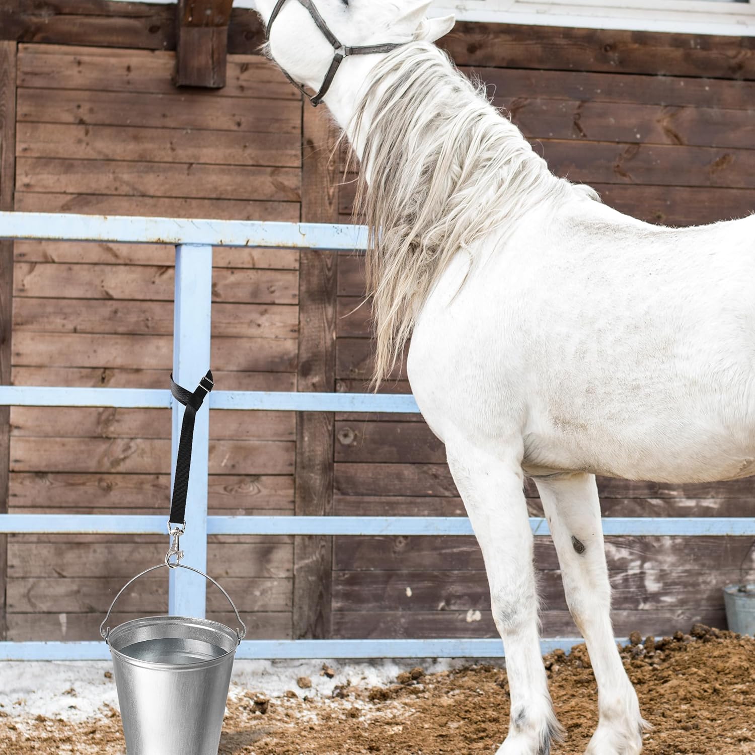 4Pcs Horse Bucket Strap Hangers Adjustable Nylon Bucket Strap Horse Accessories suppliers Hanging Strap for Hay Nets Water Buckets Horse Outdoor Feeders,Adjustable 23 to 30...