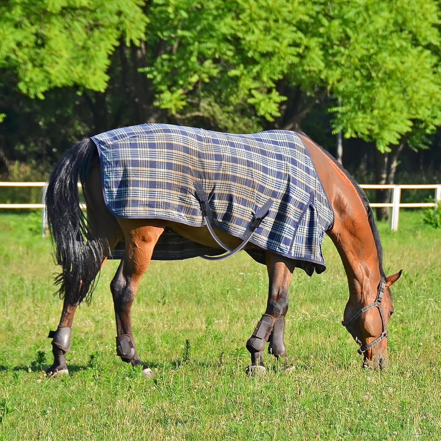 6 Packs Horse Blanket Leg Straps Elastic Horse Blanket Straps Replacement with Ended Clips, Adjustable Length 20 to 30 Inches Stretchy Leg Straps