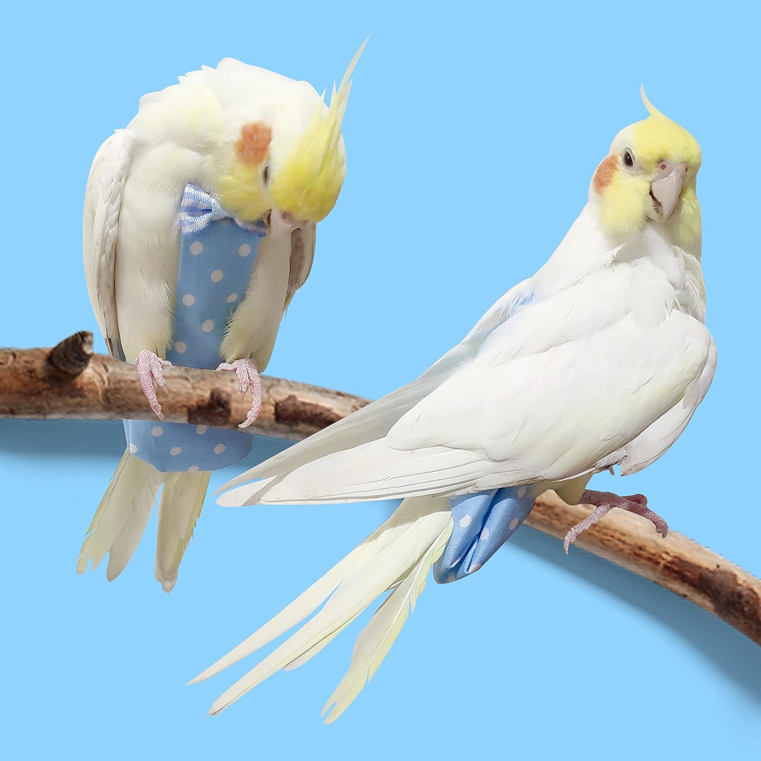 Bird Diaper Harness Flight Suit Clothes with 80 Inch Flying Leash Rope for Parrots Conure Cockatiel Pet Birds Weight 80-105 Grams, M Size Yellow, Including A Cotton Pad - Ảnh 4