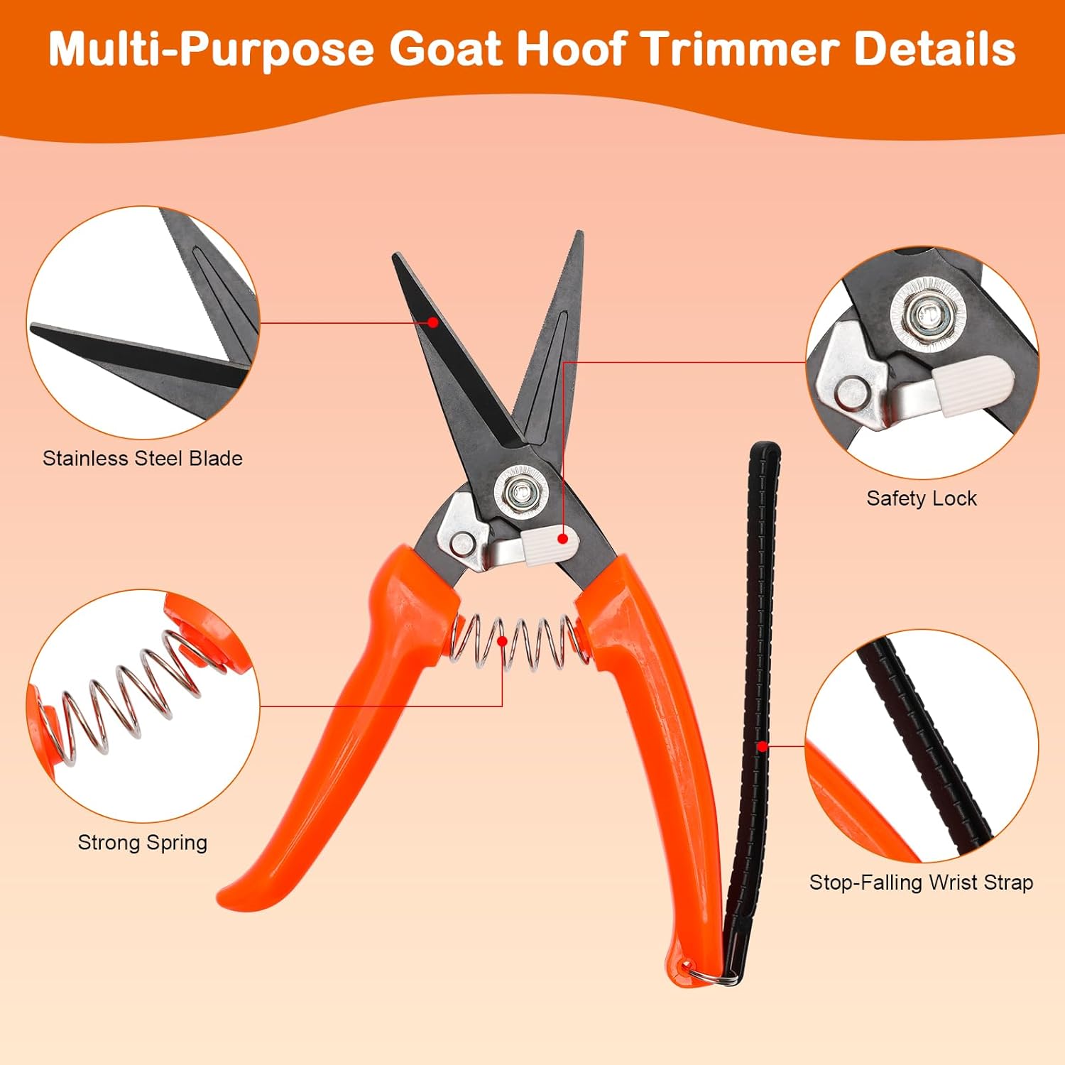 8 Inch Coldairsoap Goat Hoof Trimmers Kit - 3Pcs Hoof Trimmers, 1Pcs Double-Side Long Handle Rasp, 1Pcs Storage Bag, Hoof Rasp File for Sheep, Alpaca, Lamb, Pig