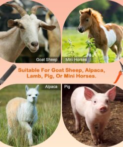8 Inch Coldairsoap Goat Hoof Trimmers Kit - 3Pcs Hoof Trimmers, 1Pcs Double-Side Long Handle Rasp, 1Pcs Storage Bag, Hoof Rasp File for Sheep, Alpaca, Lamb, Pig