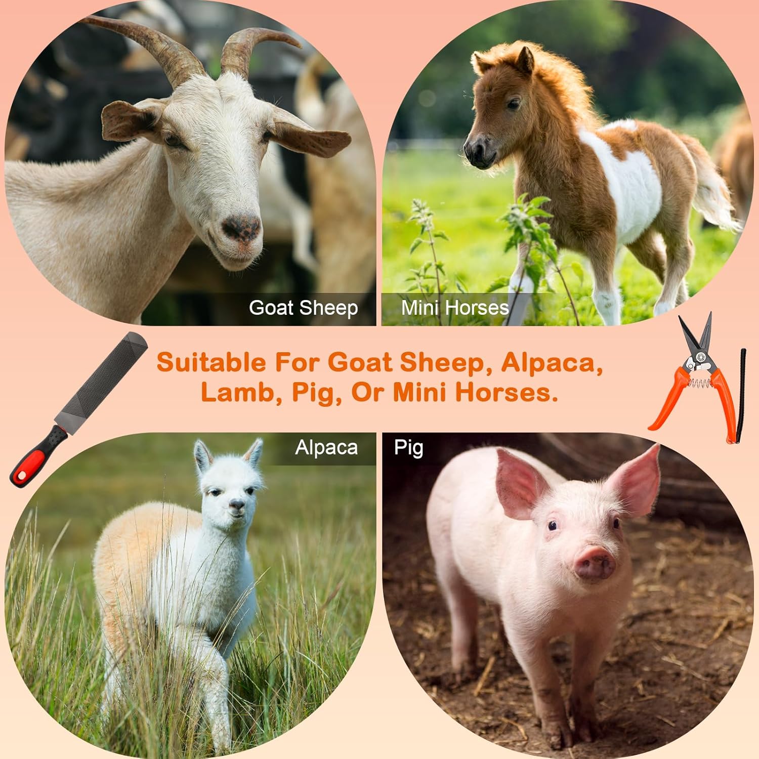 8 Inch Coldairsoap Goat Hoof Trimmers Kit - 3Pcs Hoof Trimmers, 1Pcs Double-Side Long Handle Rasp, 1Pcs Storage Bag, Hoof Rasp File for Sheep, Alpaca, Lamb, Pig