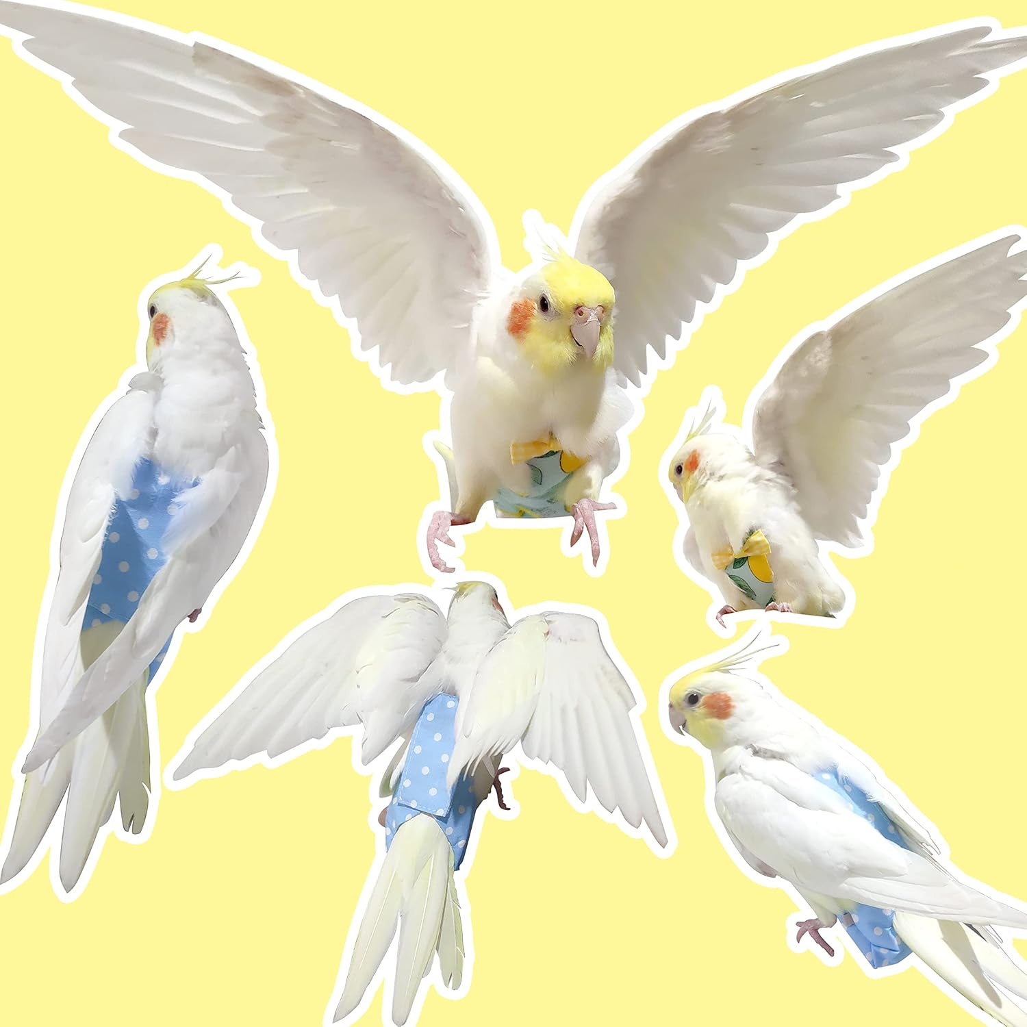 Bird Diaper Harness Flight Suit Clothes with 80 Inch Flying Leash Rope for Parrots Conure Cockatiel Pet Birds Weight 80-105 Grams, M Size Yellow, Including A Cotton Pad - Ảnh 6