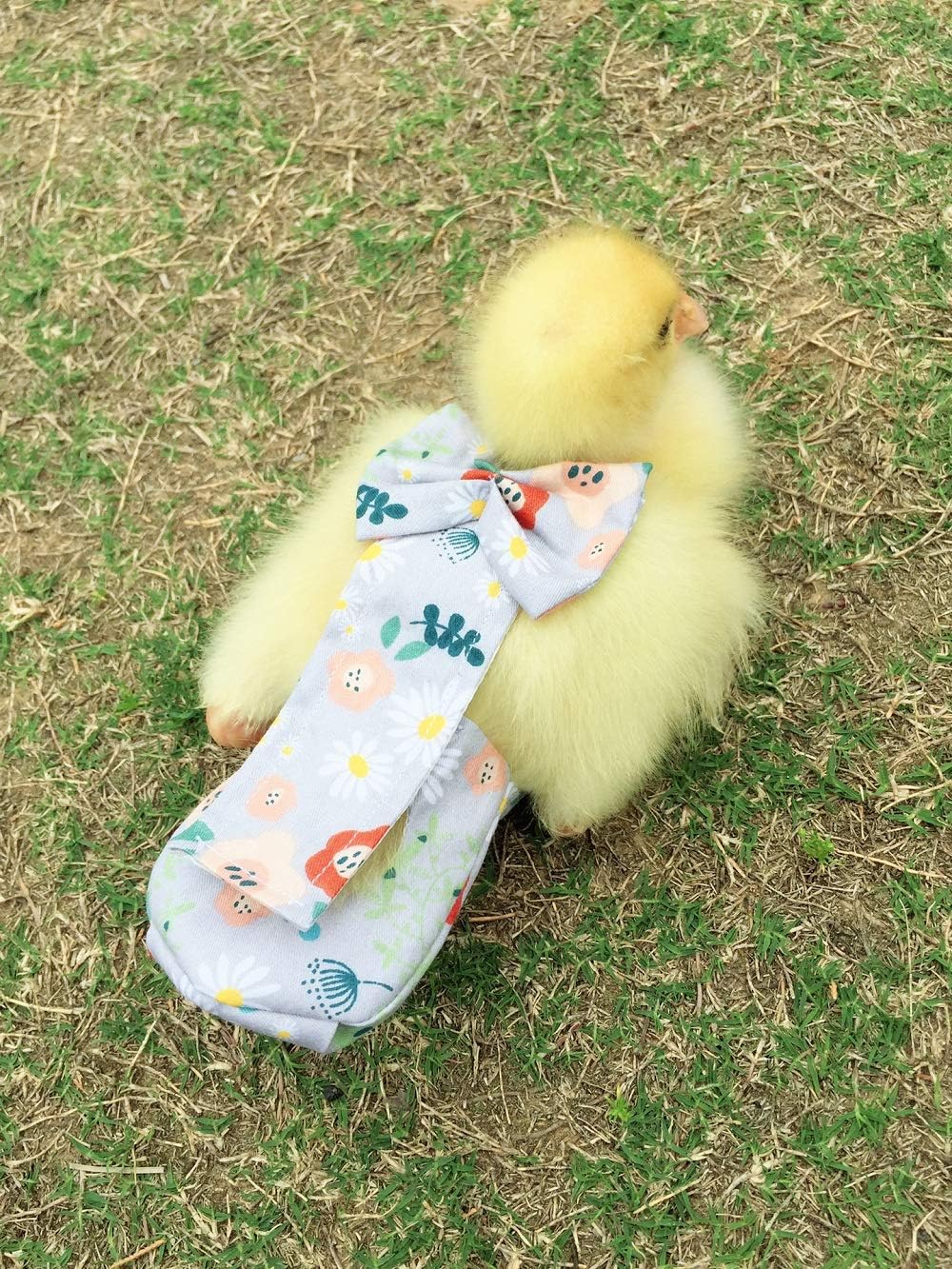 Duck Diapers, Chicken Diapers, Special Diapers for Poultry, Chicken, Duck and Goose Waterproof, Adjustable, Washable and Reusable Diapers,Poultry Supplies, Duck Supplies - Ảnh 2