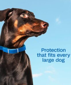 ADAMS Plus Flea & Tick Collar for Large Dogs, Flea Collar for 7-Month Prevention, Adjustable Collar Fits Large Dogs & Puppies, Kills Fleas & Ticks, 1 Count