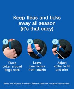 ADAMS Plus Flea & Tick Collar for Large Dogs, Flea Collar for 7-Month Prevention, Adjustable Collar Fits Large Dogs & Puppies, Kills Fleas & Ticks, 1 Count