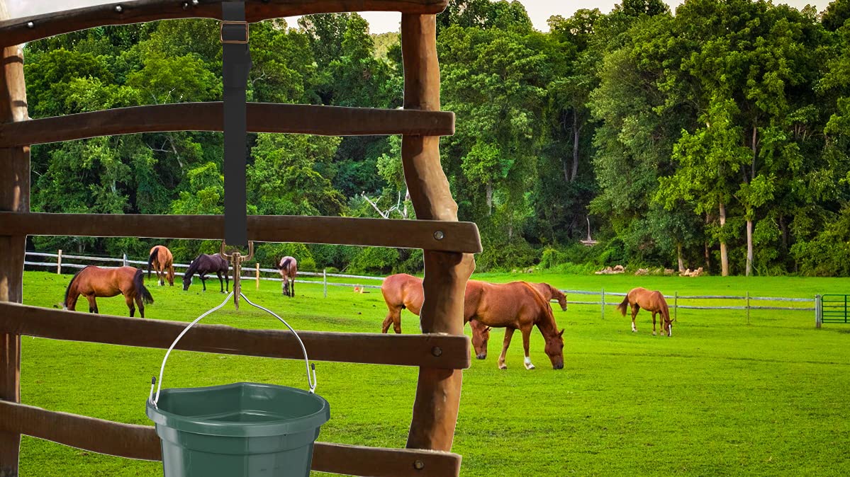 Adjustable Nylon Bucket Strap (3 Pack)- for Hay Nets, Water Buckets, Hanging Strap,Horse Outdoor Feeders,Heavy Duty Horse Water Feed, 30" (Black)